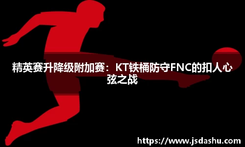 佰利乐平台