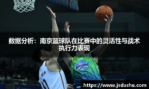 数据分析：南京篮球队在比赛中的灵活性与战术执行力表现